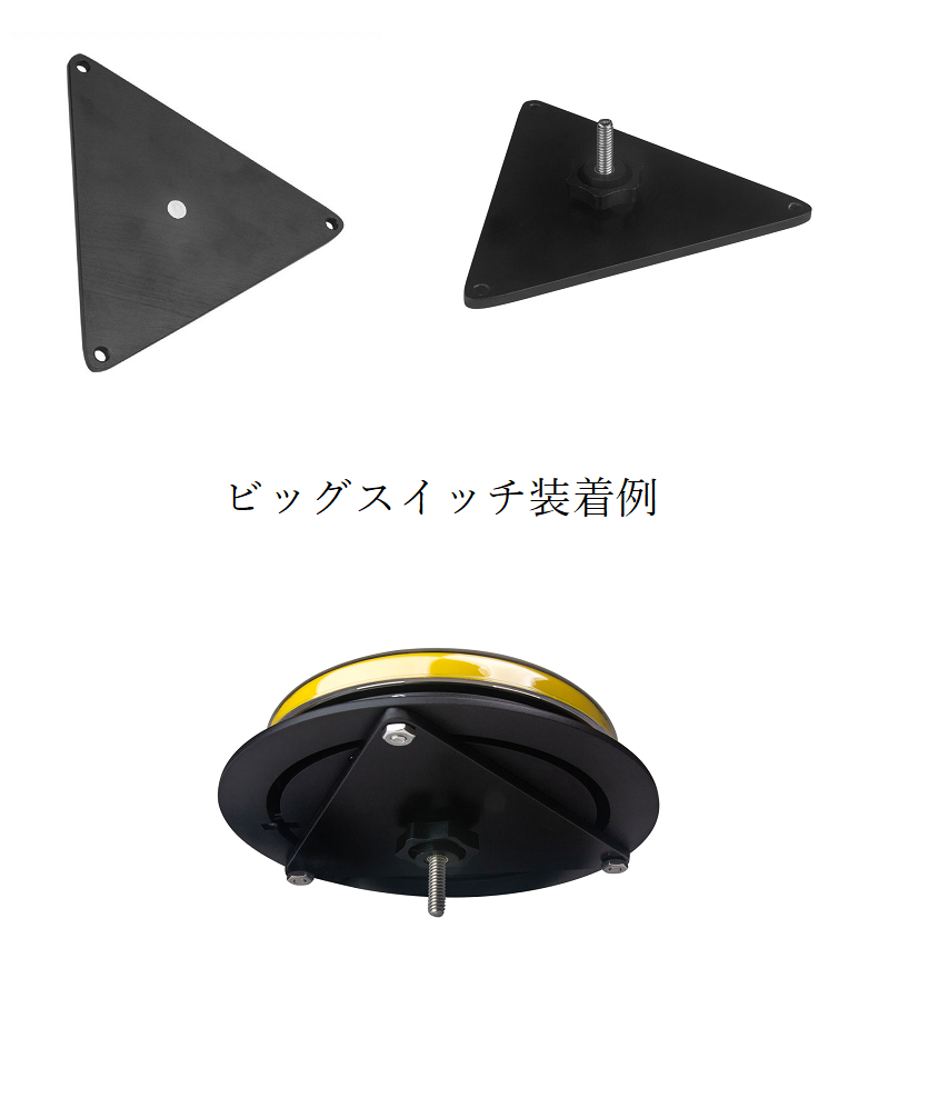 2日間限定8000円引き価格です。トゥモローランド ボールジー 2日間限定8000円引き価格です。トゥモローランド ボールジー